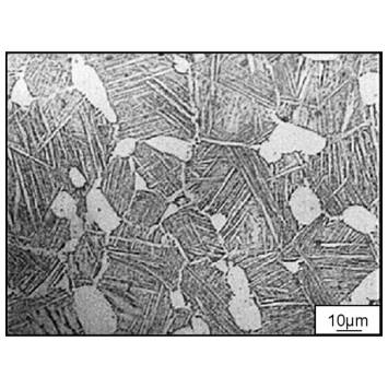 In Situ Metallography in Chamba